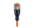 Cordset, M12 Socket - Bare End, 5 Conductors, 5m, IP67 / NEMA 6P, Orange
